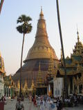 Shwedagon Pagoda Zedi