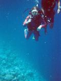 Maris Diving