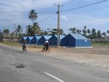 Tents for Tsunami Victims