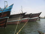 Dhow Bows